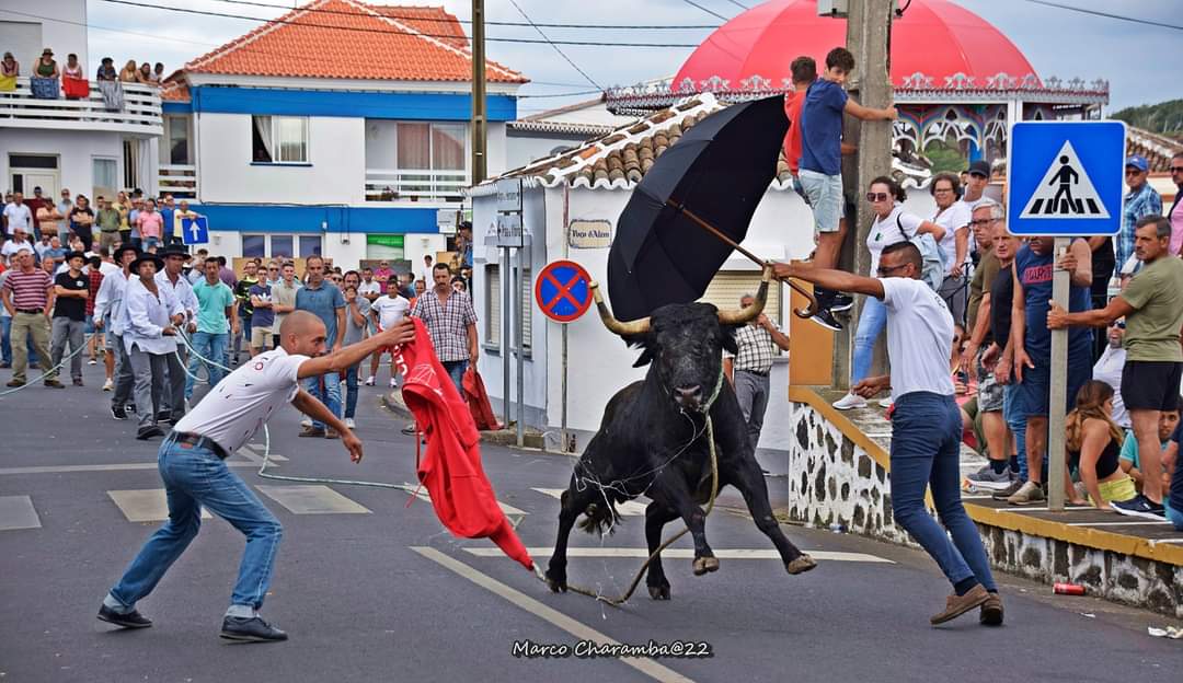 Andre Meneses tweet media