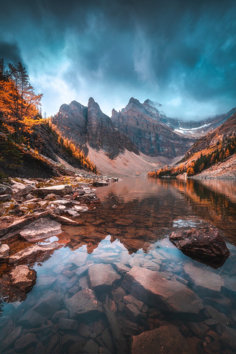 Calibreus_'s tweet photo. Considering dropping my first ever Manifold edition in the next week or so... Should I go for it? 🍂 https://t.co/yzfWnuO6CD