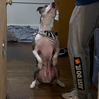 #NewProfilePic