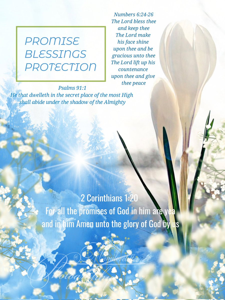 mimiloveletter's tweet image. :¨·.·¨:🌿
 `·. .†°·.🕊
.•°♡̨̐
†.
†.
♡̨̐.•*°☆ ҉͜ .🌾💙†°·.🕊
MAY THE LORD KEEP YOU 
IN PERFECT PEACE LOVE
JOY AND HAPPINESS . . . 
#Godblessus #Jesuslovesus
#mimiloveletter #Love #Jesus
#MondayMotivation #Scripture 
†🌾💙°·.🕊†🌾💙°·.🕊†🌾💙°·.🕊†°·.🕊†°·.🕊