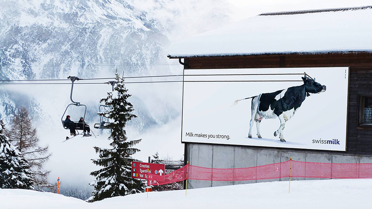 Another clever &amp; creative example of wide format murals/billboards. Marketing bonus: good ones get shared online!🐄
<a href="/TreckHall/">Treck Hall</a> carries a full complement of durable, 🇨🇦winter-ready materials for your outdoor marketing/signage needs.
#treckhall #wideformat
#MondayMural #BeCreative