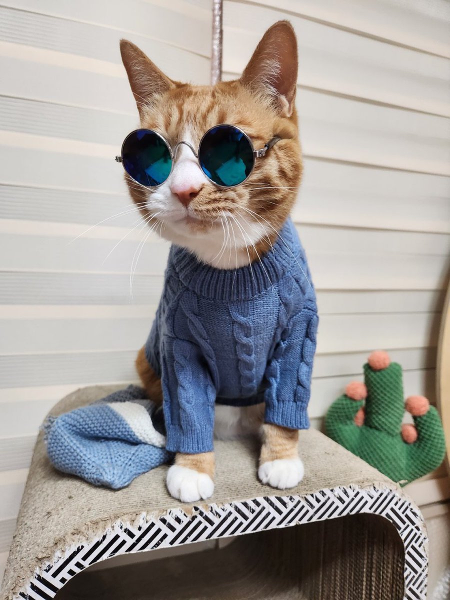 linotexts's tweet image. 230110 ✧ 10:21 am

[picture]

[picture]

today is soonie’s birthday😘