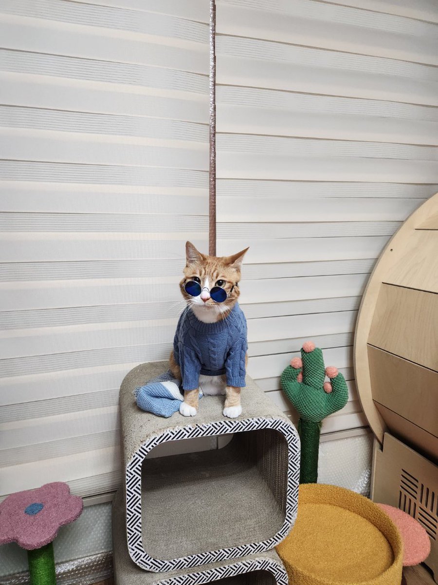 linotexts's tweet image. 230110 ✧ 10:21 am

[picture]

[picture]

today is soonie’s birthday😘