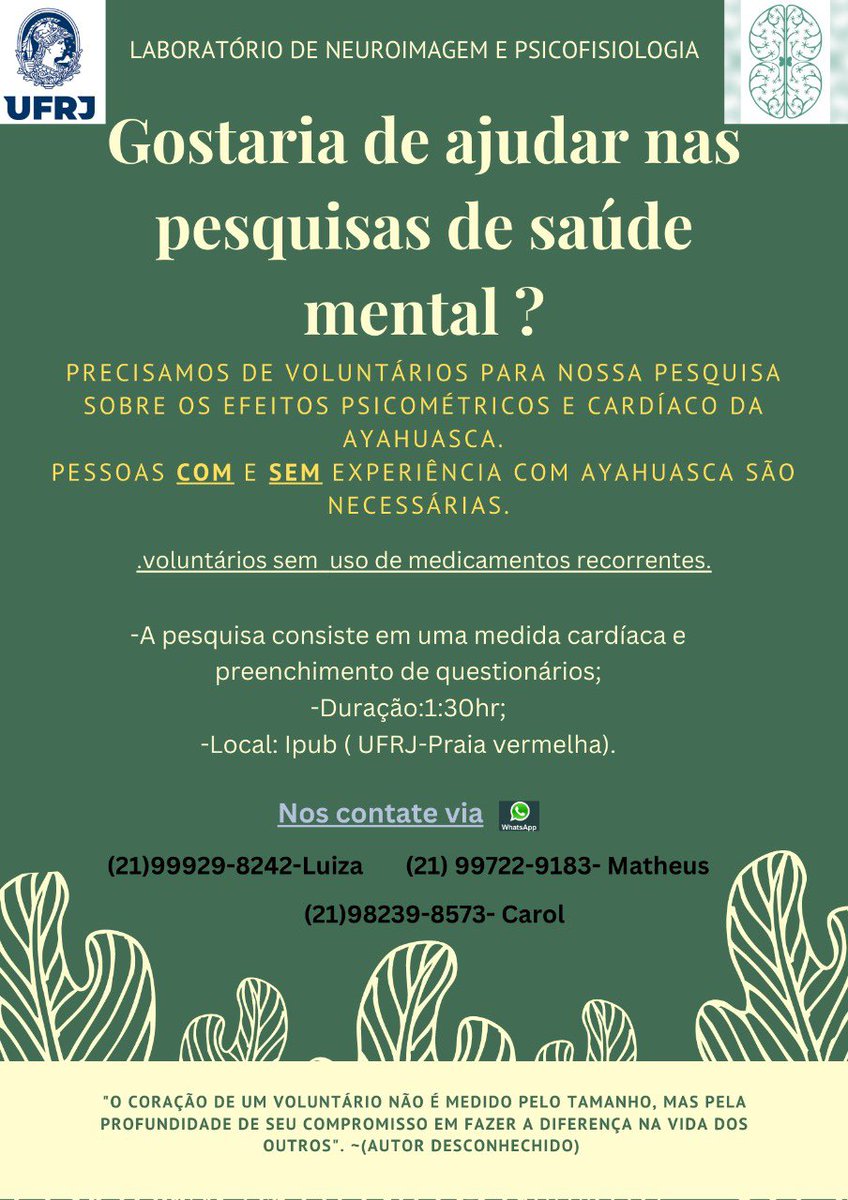 Luiza Lima tweet media