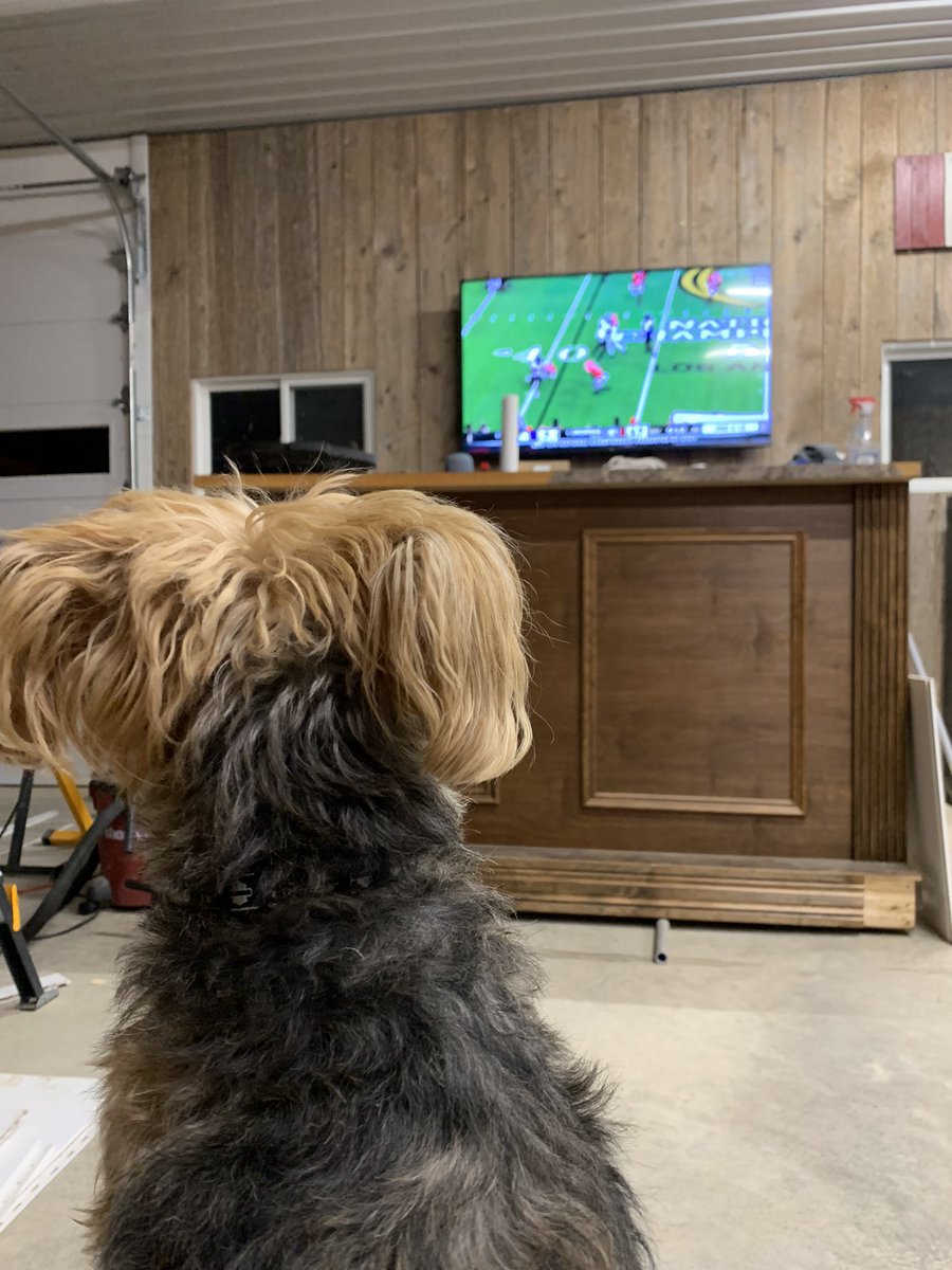 Football Dog