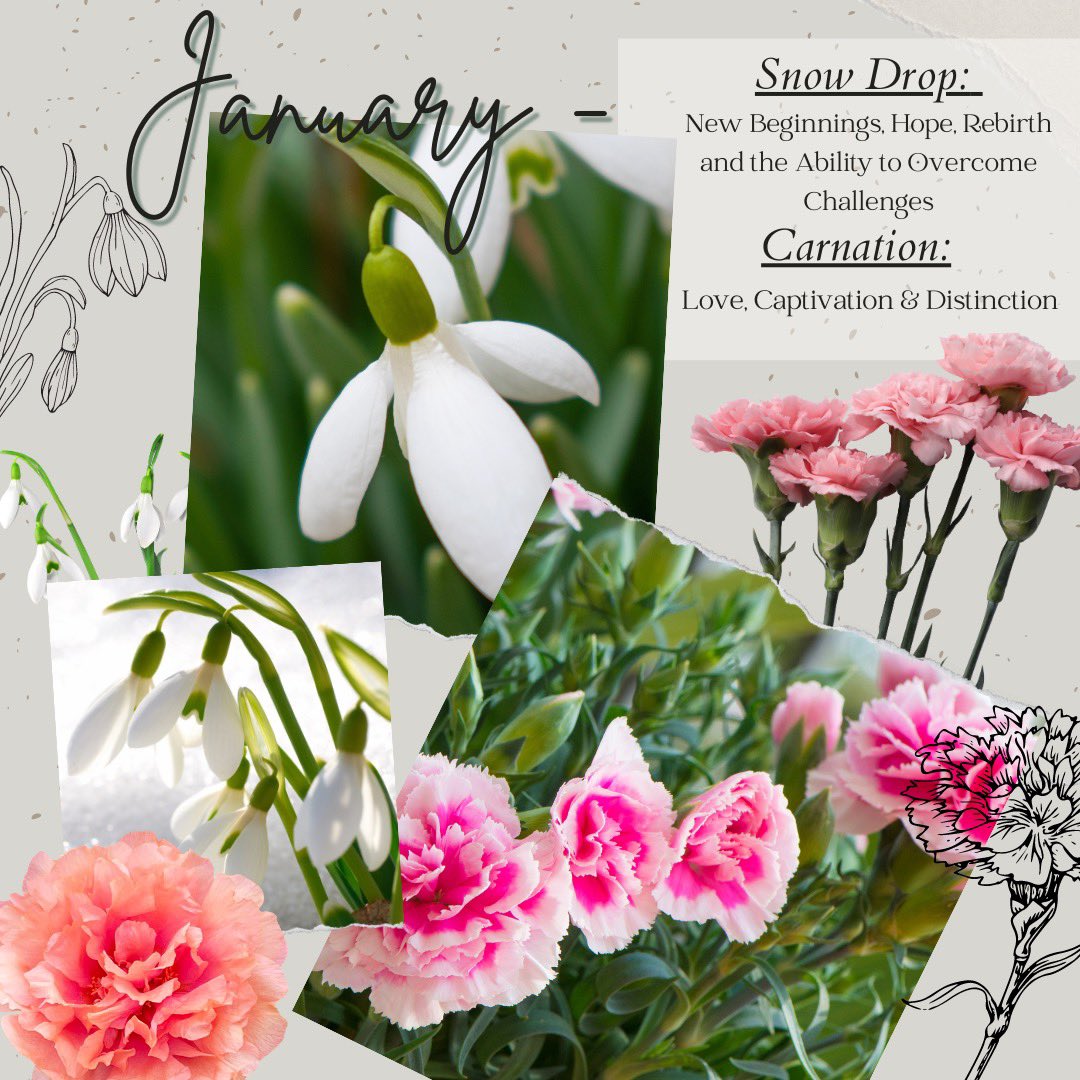 January Birth Month Flowers! 🌸🌱☺️
#january #birthmonth #snowdrop #carnation #gardening #GardenersWorld