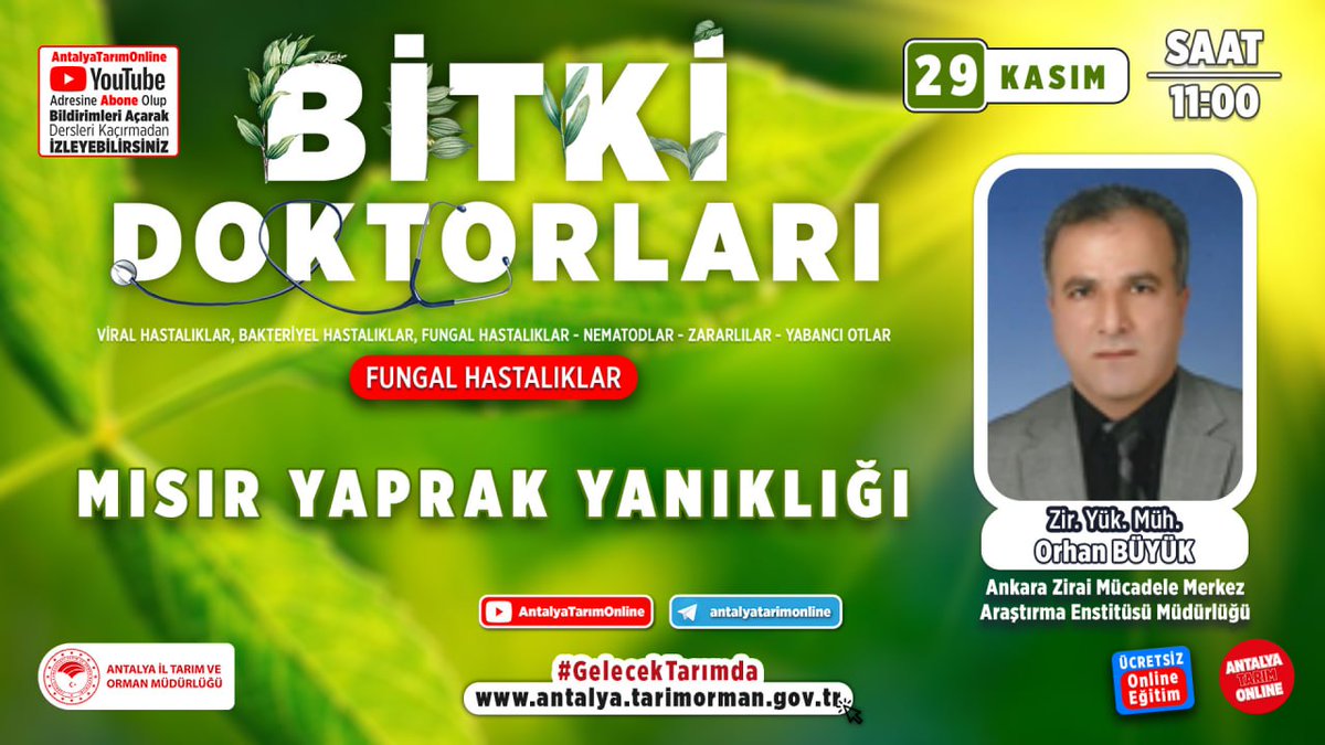 #BitkiDoktorları
Ankara Ziraî Mücadele Araştırma Enstitüsünden 
Zir. Yük. Müh. Orhan Büyük ile 
Mısır Yaprak Yanıklığı 👇
youtu.be/vTpd_M0HRbQ

#GelecekTarımda
#TarımAntalyada

<a href="/VahitKirisci/">Prof.Dr.Vahit Kirişci</a> 
<a href="/ersinyazici1/">Ersin YAZICI</a> 
<a href="/gokhankaraca_/">Gökhan Karaca</a>