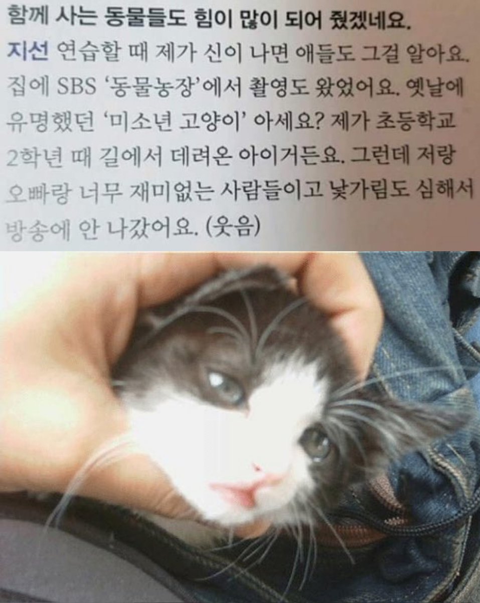 넷픎 tweet media