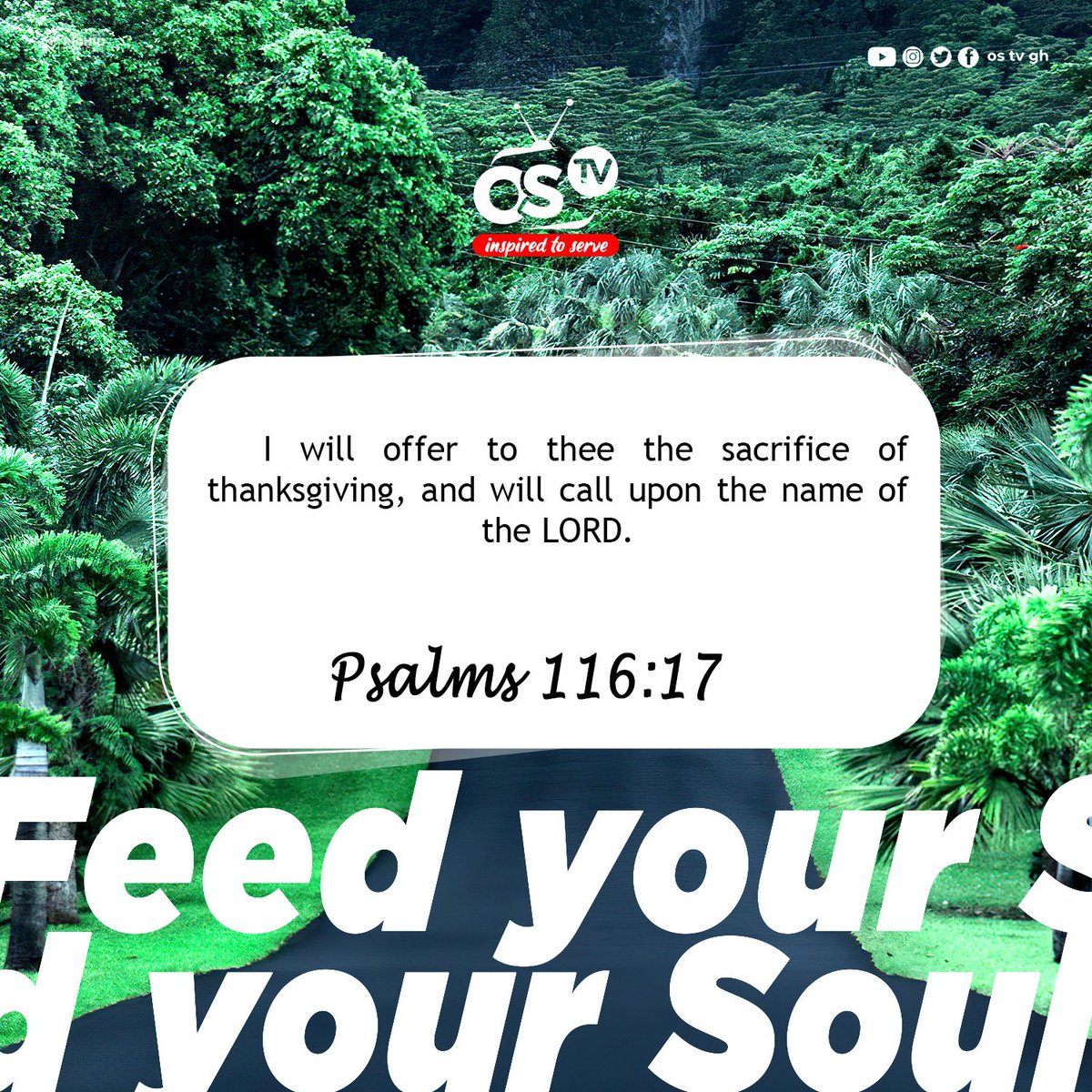 ostv_gh's tweet photo. #feedyoursoul https://t.co/INY8szMw6h