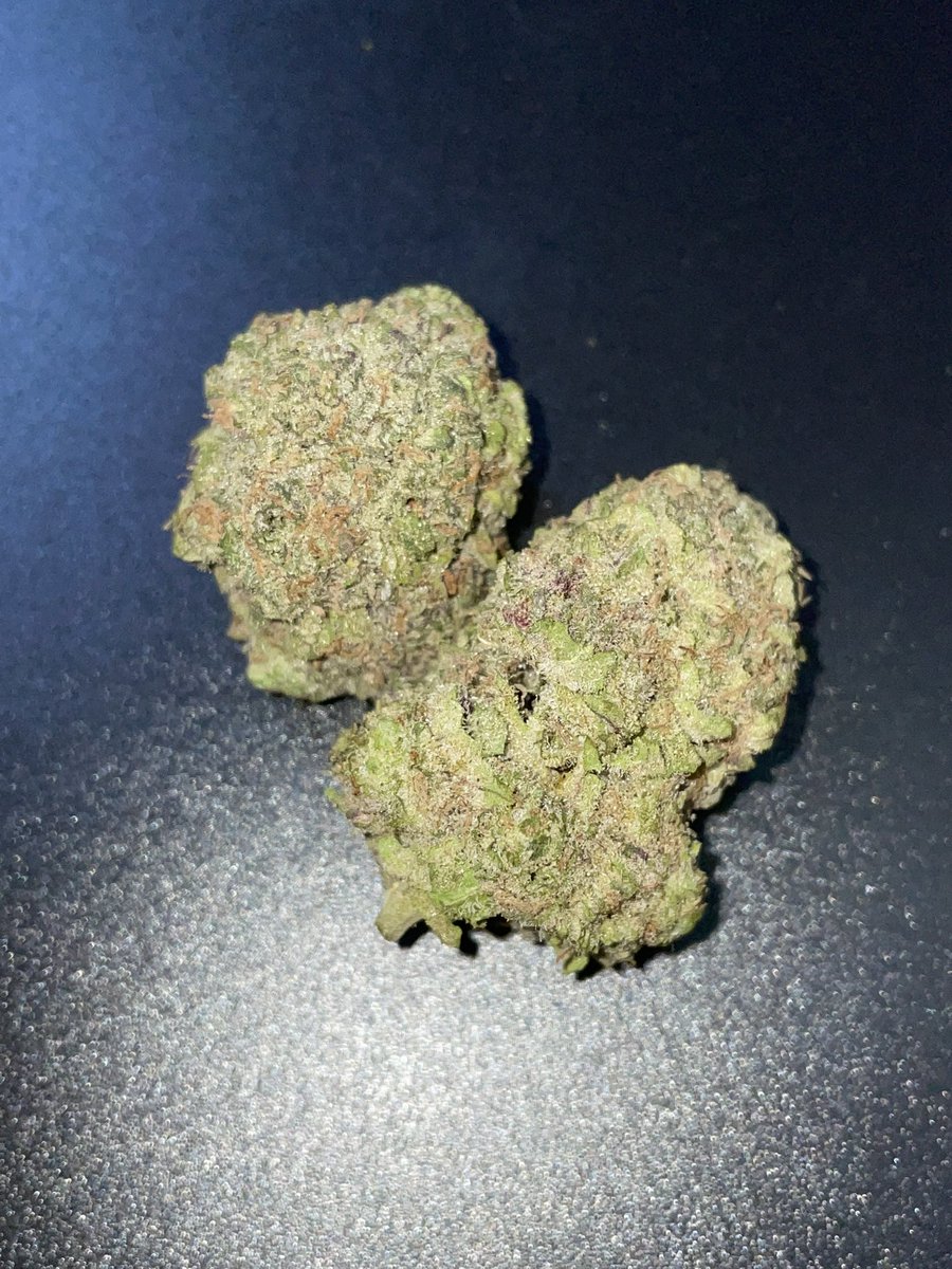 blackherbals99's tweet photo. #orangecookies #exotic #topshelf #กัญชานอก #สายเขียว #hybrid https://t.co/fYuj0hXO2o