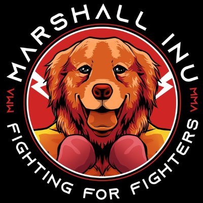 @singhsushil094 $MRI the meme token that's #fightingforfighters and has its own crypto based fight league. @marshallinu_