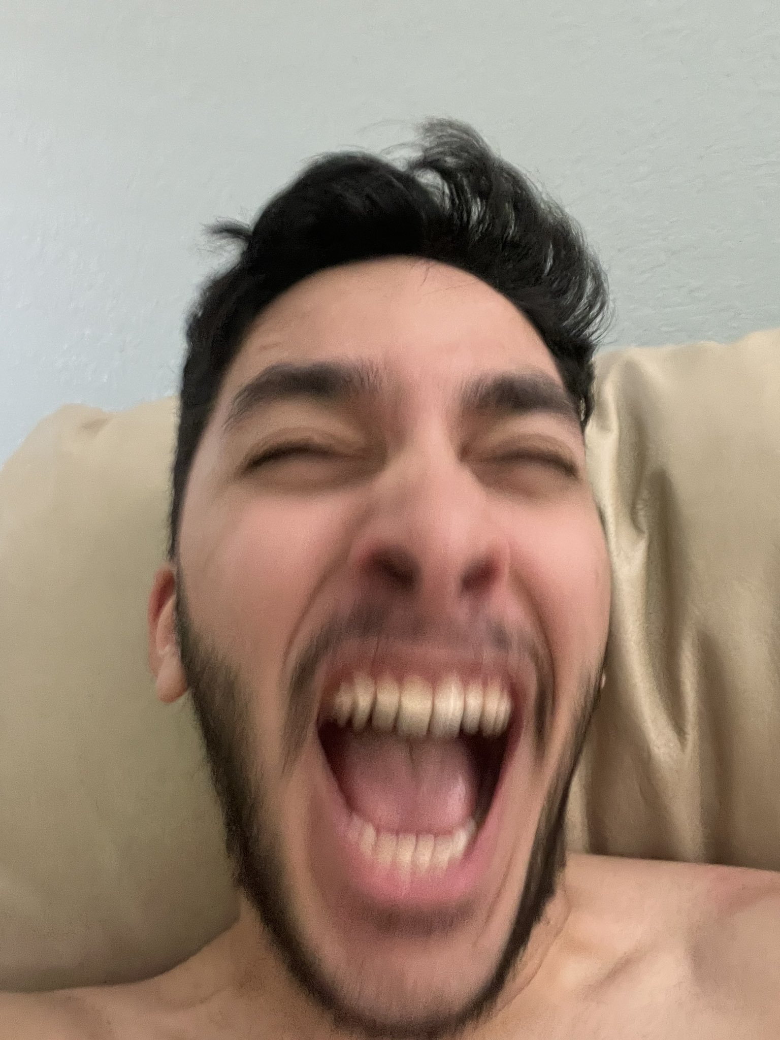 🔞 NSFW- IlluXXXtrandy on Twitter: "What does the Fox say? 🎶 #