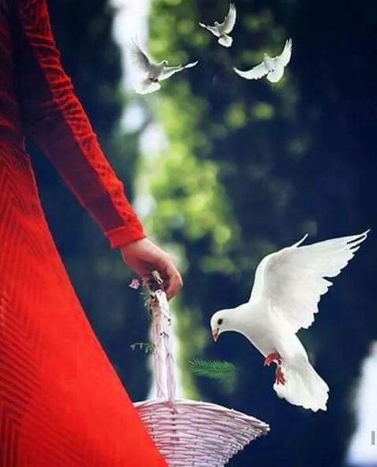 .
اللھُم الخيرة في أقداركَ ؛
       والرّضا ثم #السعادة بكُل شيء ..
      
     لصباااحكم كل الخير والعافيه  🤍 🕊