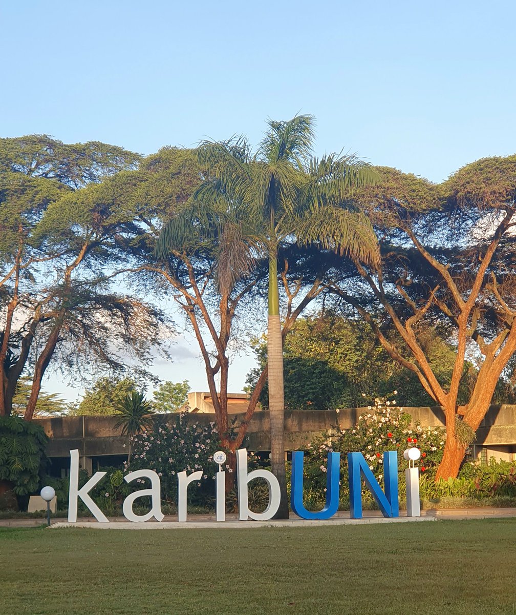 So grateful to work on such a beautiful campus for @UNDPKenya, albeit temporarily, as I soon complete my internship and turn back to academia to write my thesis on the intersection between #environment, peace, and security. #UNInternship #climatesecurity