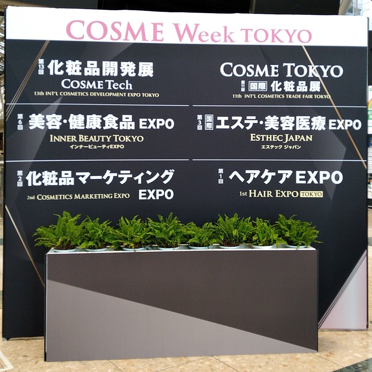 LyconShowroom's tweet photo. いよいよ明日から！
国際エステ・美容医療EXPOに出展します✨
LYCON ブース#27-55
#cosmeweek https://t.co/yBv3G4n6oi