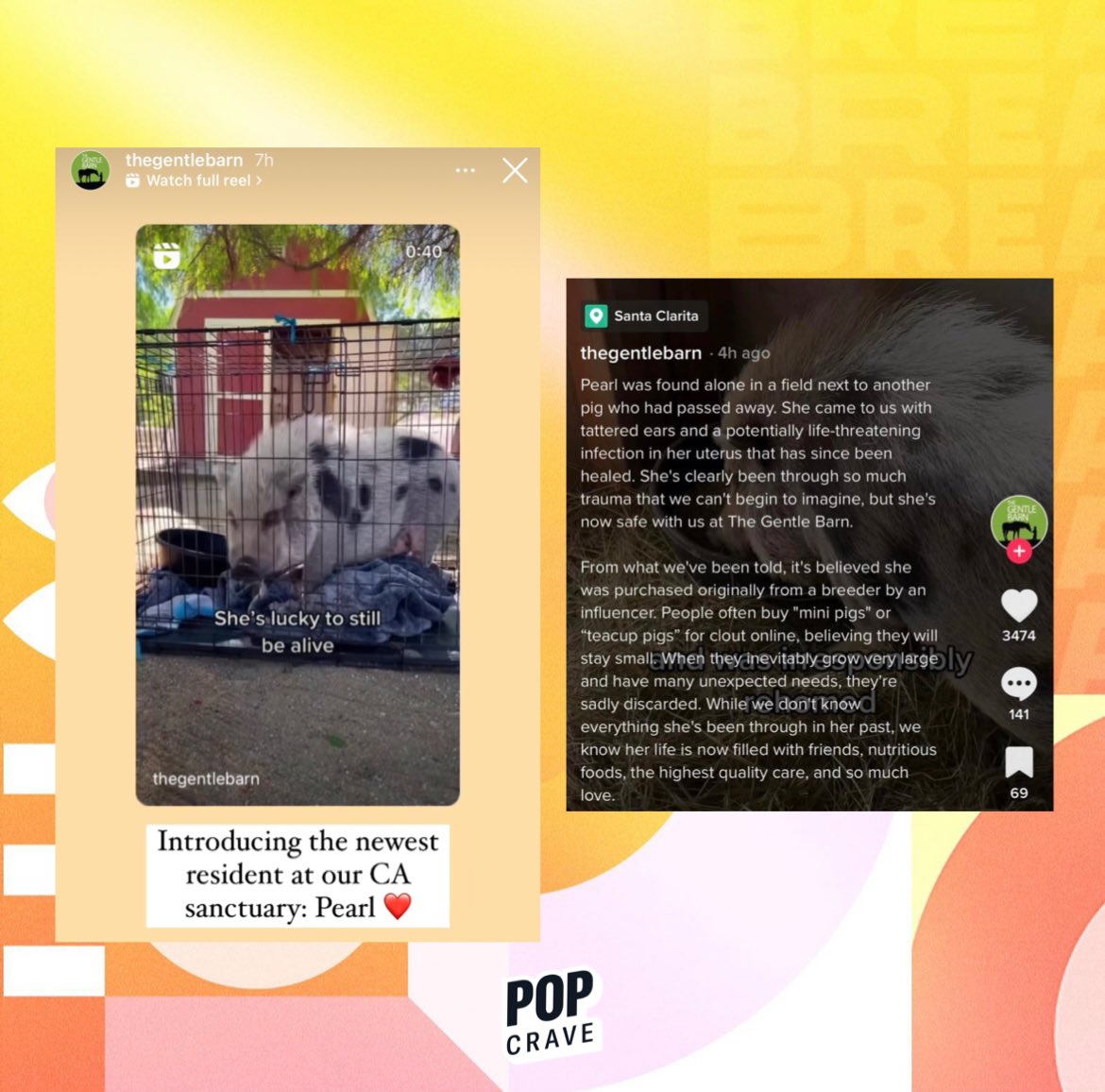 Pop Crave tweet media