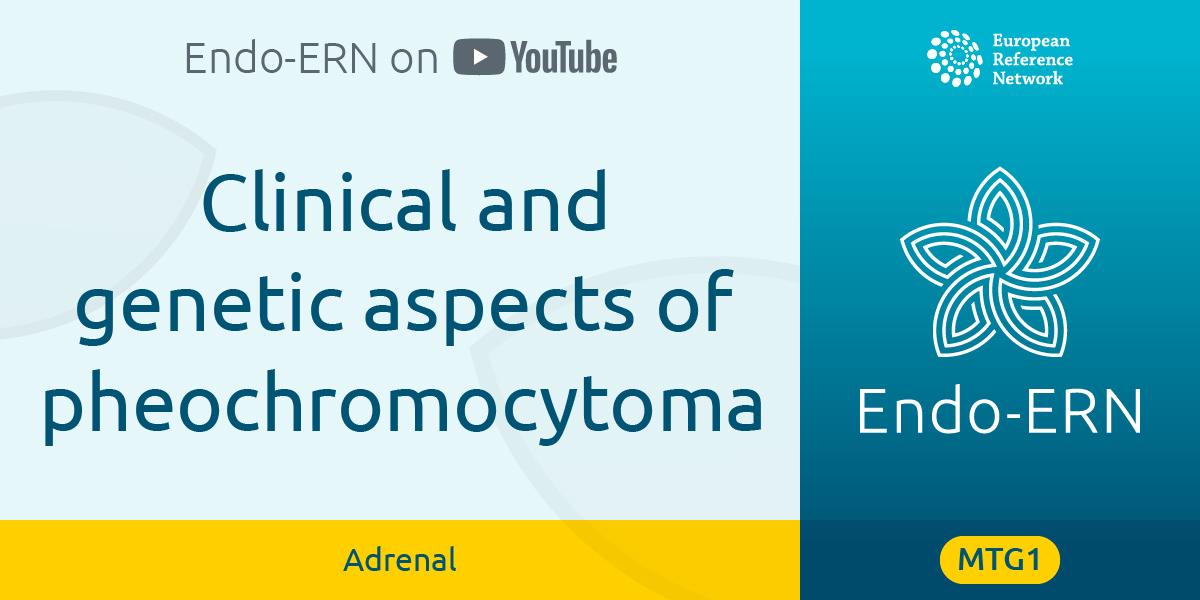 RareEndoERN's tweet photo. Check out this case-based presentation by Peter Igaz from Semmelweis University.
https://t.co/hEpHE2jjwE
#EndoERN #raredisease #ESEtalks #EndocrineConnections #rarediseases #endocrinology #endocrine #healthunion #eu4health #EUGlobalHealthStrategy #healthiertogether https://t.co/YnPmKdJKyt