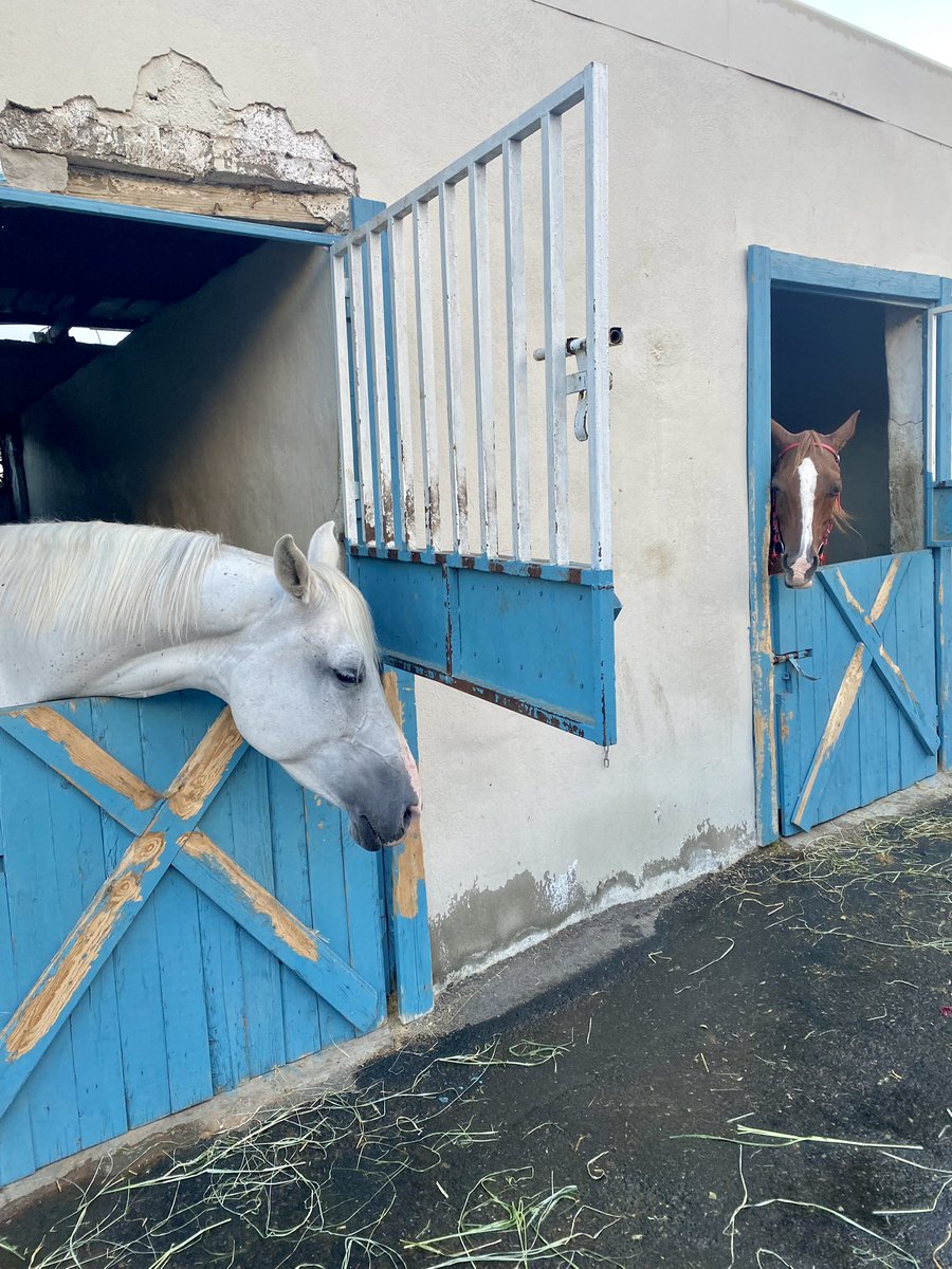 📸 | 

مقتطفات من تنفيذ #جمعية_التنمية_الاهلية_بالقيم لرحلة الخيل الترفيهية في مربط ومقهى اوزون .