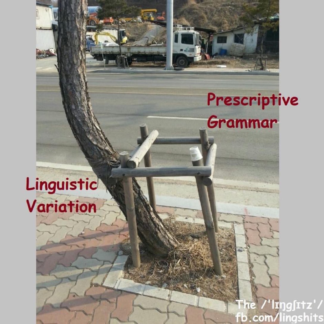 Excellent for EL students.