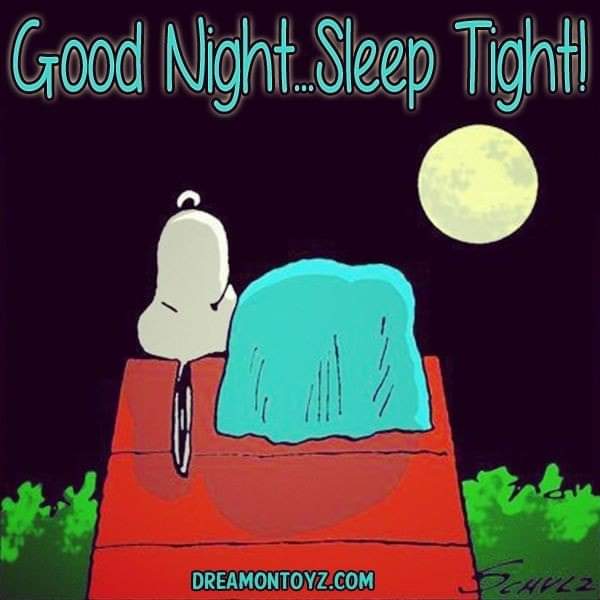 Perfect in Nature tweet media