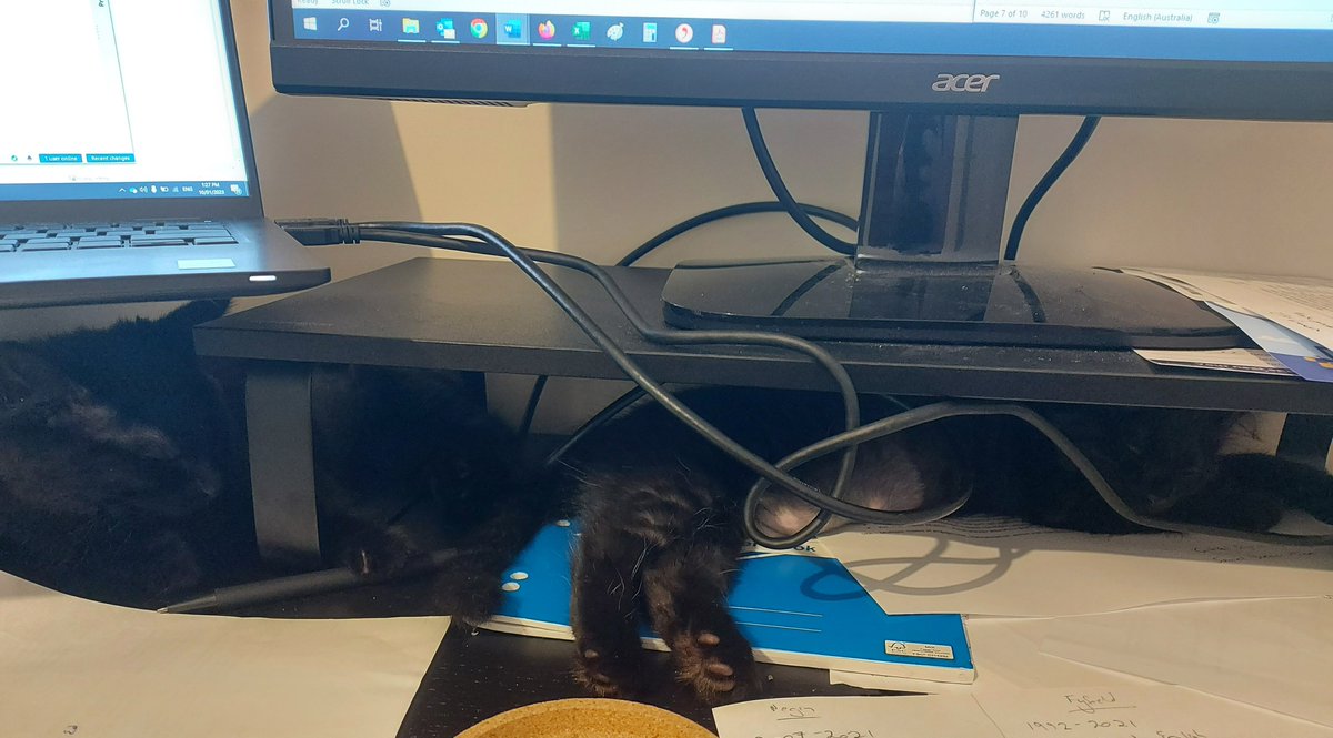 Writing up our (<a href="/c3lresearch/">The Centre for Change and Complexity in Learning</a>) #ScopingReview of reviews in #AIEd is made more entertaining by the two kittens I'm helping foster at the moment. Cinder and Ember like being close 😻😻

#ArtificialIntelligence #CatsofTwittter <a href="/catsofacademia/">Cats of Academia</a>