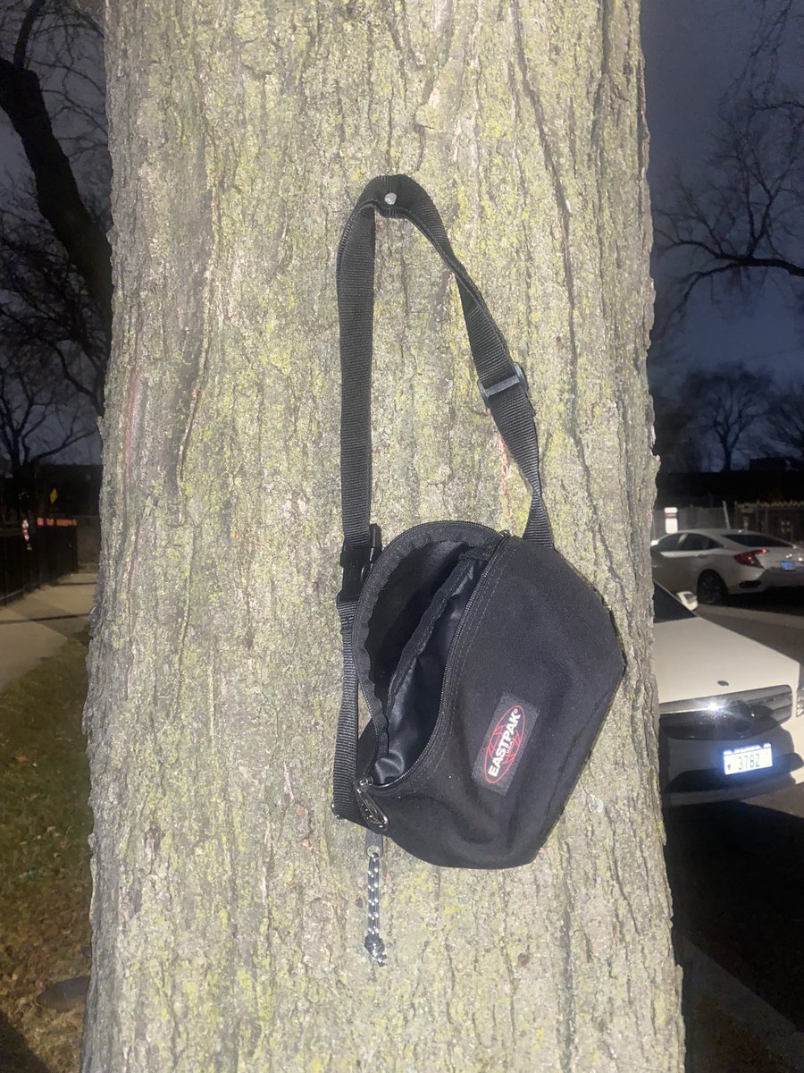 hemlock (carolina) tweet media