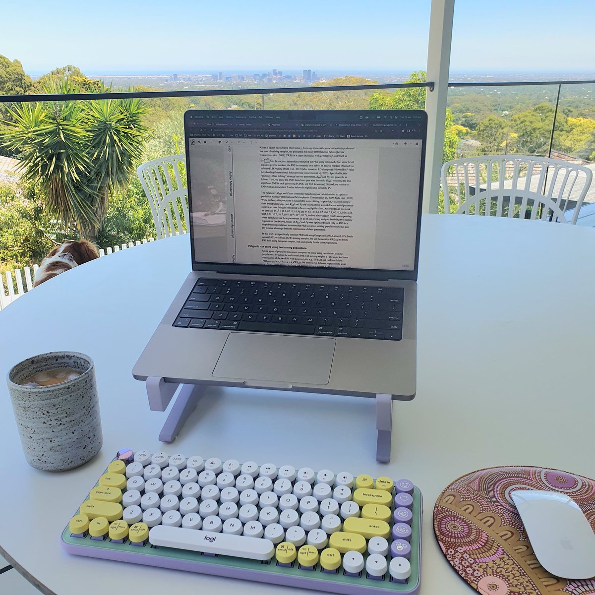Decided to work from home while I housesit this week, couldn't miss the opportunity to work with a view like this in the beautiful summer weather ☀️