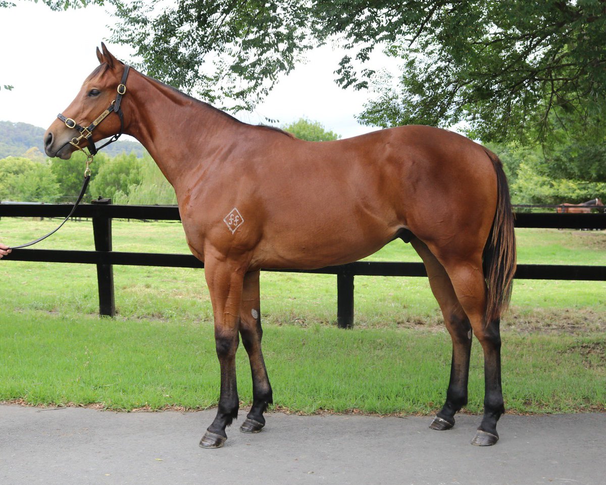 Fairhill Farm tweet media