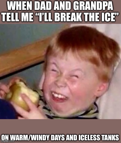 Cade Adamson tweet media