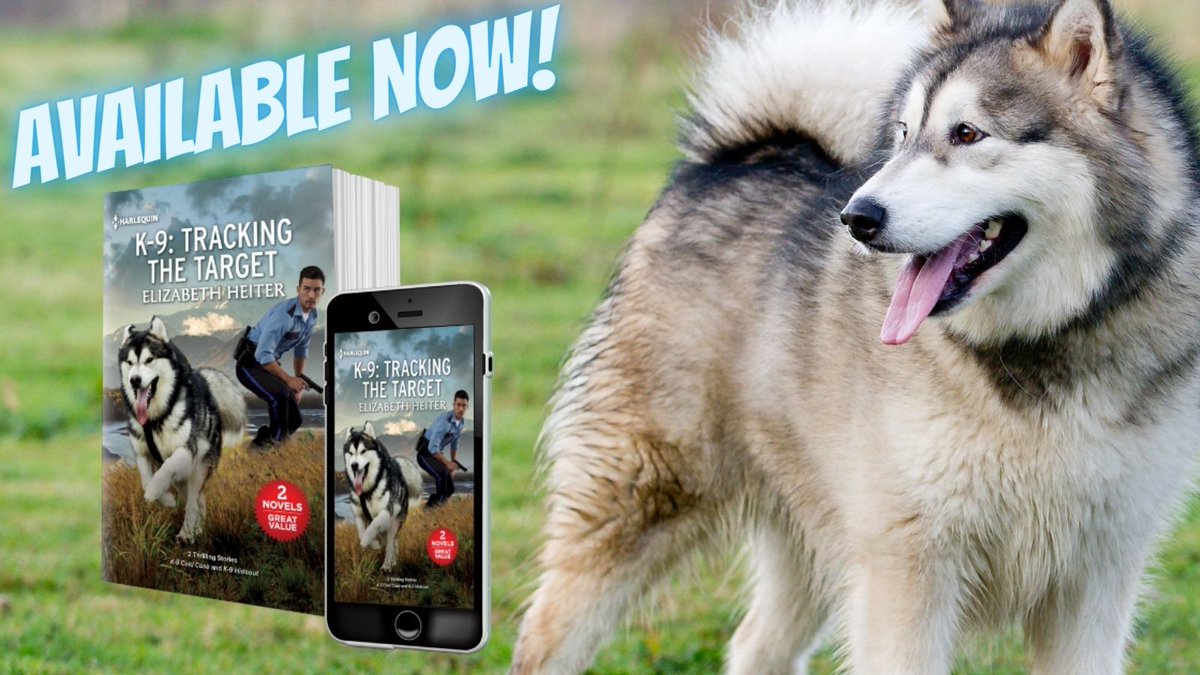 Elizabeth Heiter tweet media