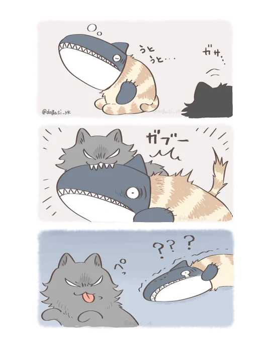 凶暴な野良猫 