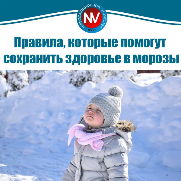 Новый вестник tweet media