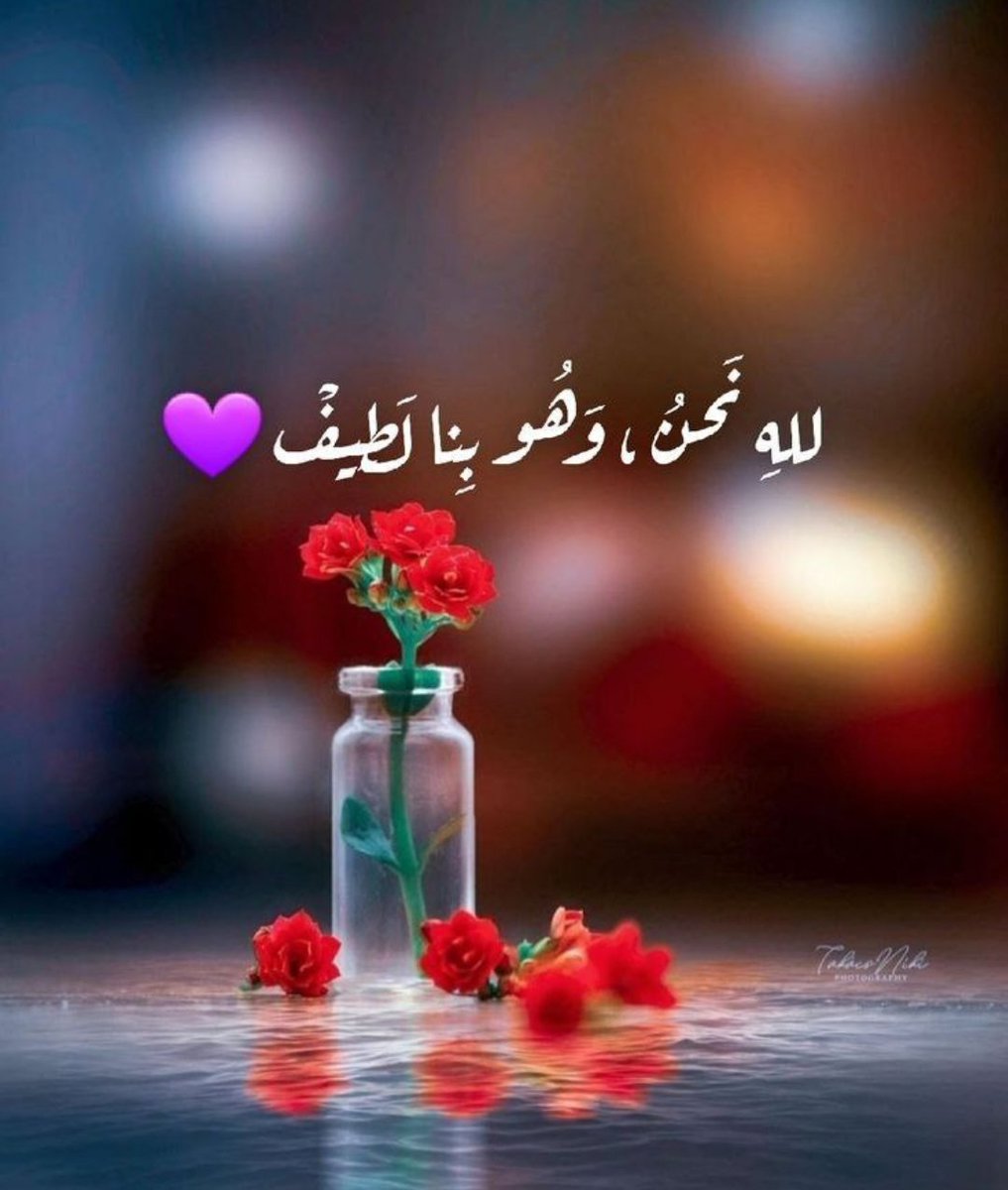 نواف الدهمي🇾🇪❤🇶🇦 tweet media