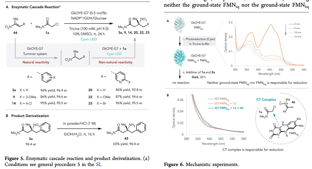 Enzyme Chemistry (@enzymechemistry) on Twitter photo Asymmetric C-Alkylation of Nitroalkanes via #Enzymatic Photoredox Catalysis by Haigen Fu, <a href="/TianzhangQ/">TIANZHANG QIAO</a>, Jose M. Carceller, Samantha N. MacMillan, and Todd K. Hyster @HysterLab at <a href="/CornellChem/">CornellChemistry</a> in <a href="/J_A_C_S/">J. Am. Chem. Soc.</a> pubs.acs.org/doi/10.1021/ja⊠Asymmetric C-Alkylation of Nitroalkanes via #Enzymatic Photoredox Catalysis by Haigen Fu, <a href="/TianzhangQ/">TIANZHANG QIAO</a>, Jose M. Carceller, Samantha N. MacMillan, and Todd K. Hyster @HysterLab at <a href="/CornellChem/">CornellChemistry</a> in <a href="/J_A_C_S/">J. Am. Chem. Soc.</a> pubs.acs.org/doi/10.1021/jaâŠ