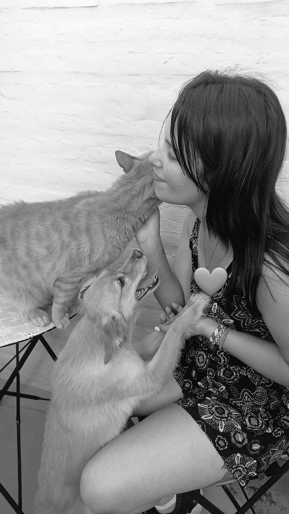 Mish_CARP's tweet photo. Amar a los animales❤ https://t.co/51vMyKmite