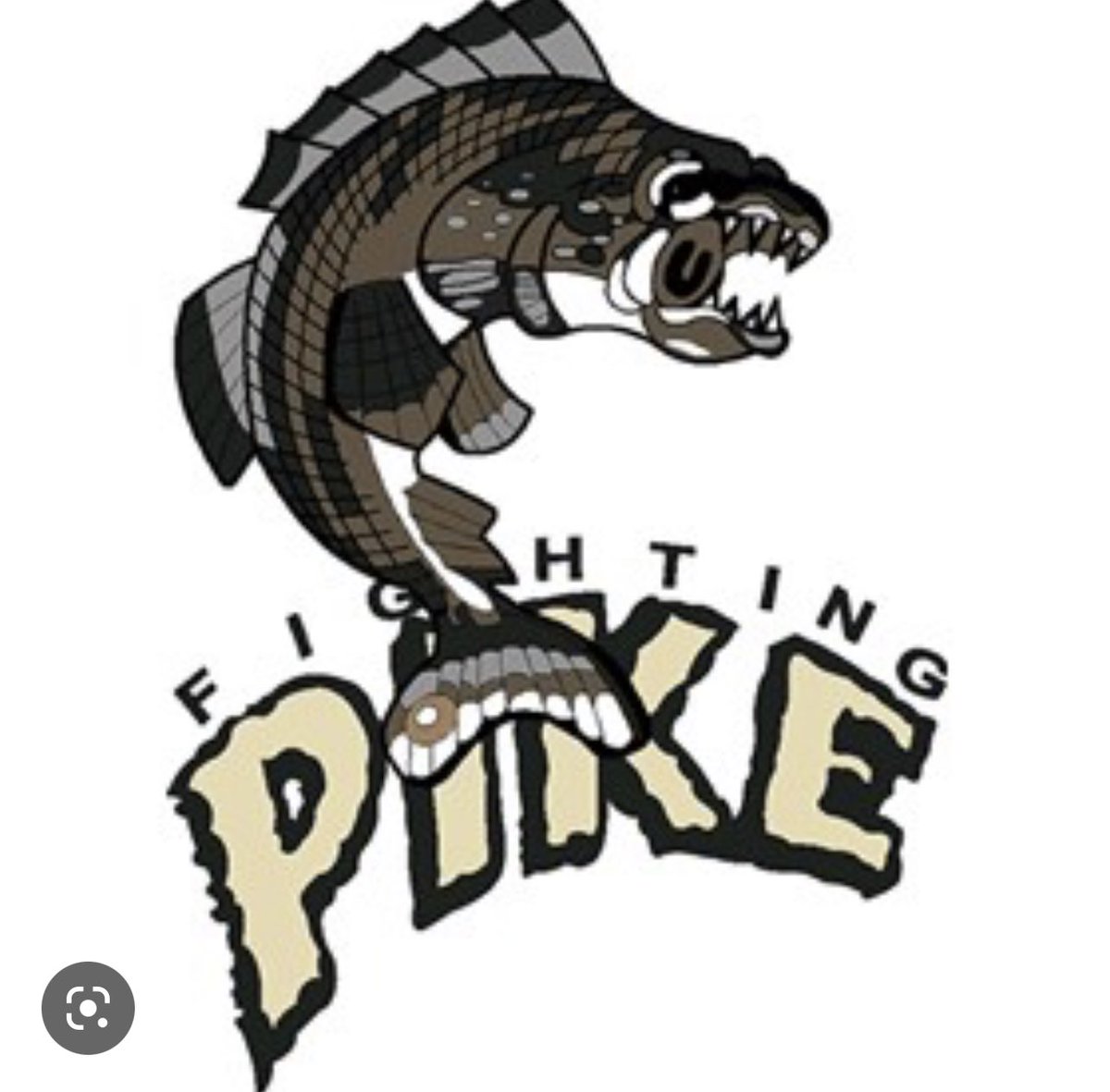 WadeBanning's tweet photo. @Super70sSports 1996 Minnesota Fighting Pike arena football team. https://t.co/x33Ntv1EnE