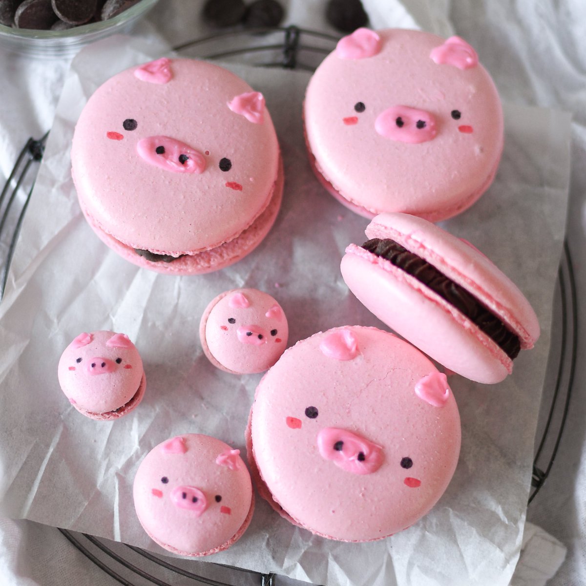 bitesbybianca's tweet photo. chocolate pig macarons 🐷💫 https://t.co/SndqQfNXnw