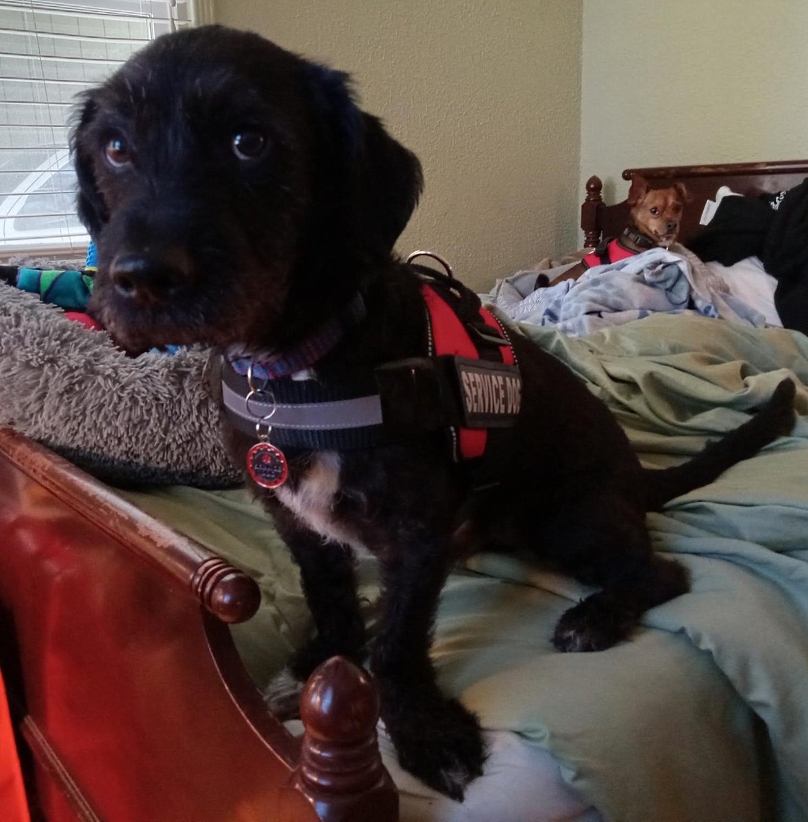 Commander X 🍀 tweet media