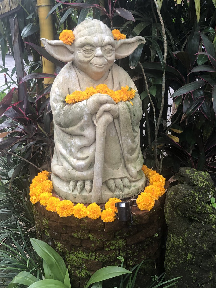 möge die macht mit euch sein … ✌🏻