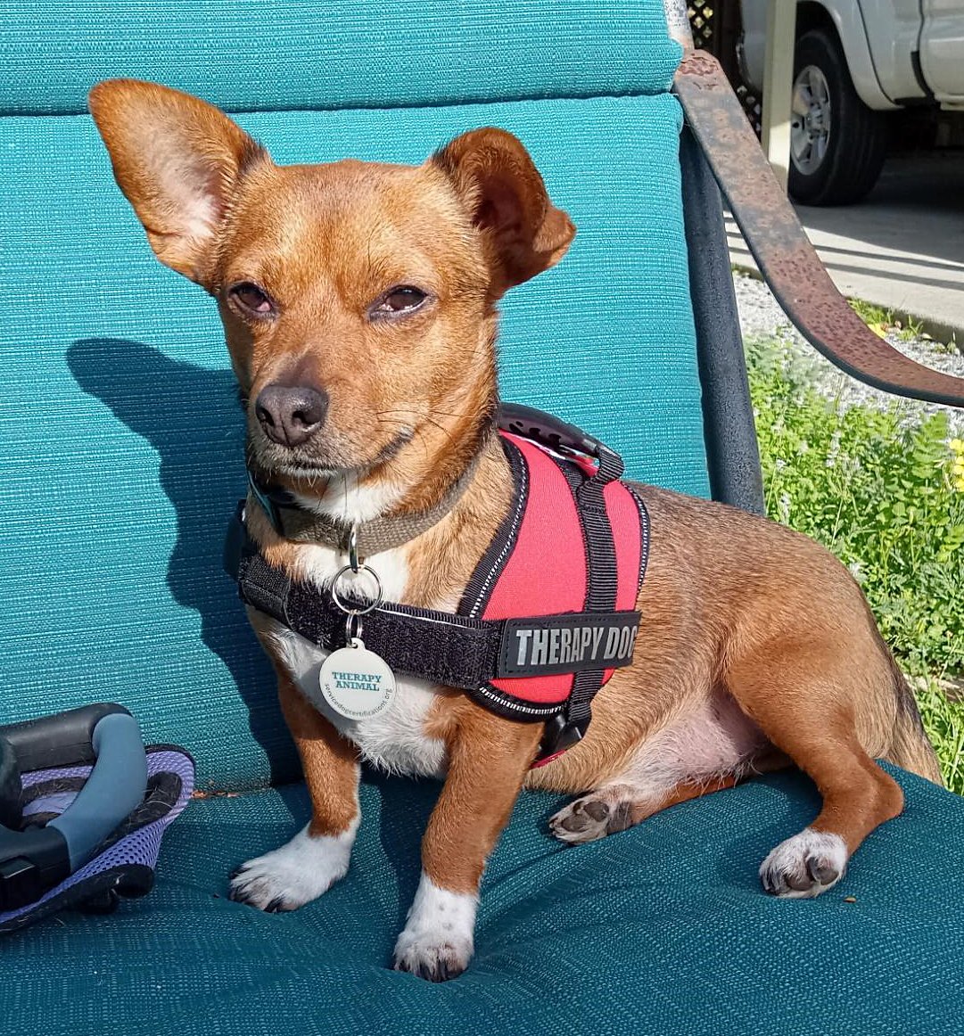 Commander X 🍀 tweet media