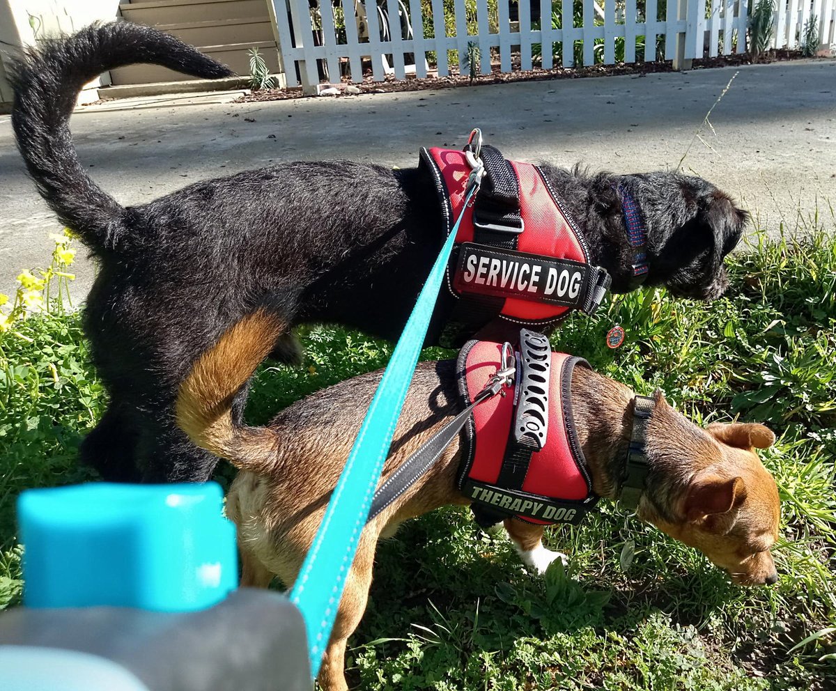 Commander X 🍀 tweet media