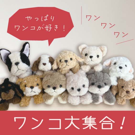 monseuil_staff's tweet photo. 一般的に #犬の日 とされているのは11月1月ですが、1月11日も同じく「ワンワンワン(111)」ということで、ワンコが大集合しました🐕🐾
是非お気に入りの子を探してみてください♪
#MONSEUIL #monseuil #モンスイユ
#ぬい撮り
お買い物はこちらから🐾
https://t.co/LCy4bU93LJ https://t.co/bLihRwW1iS