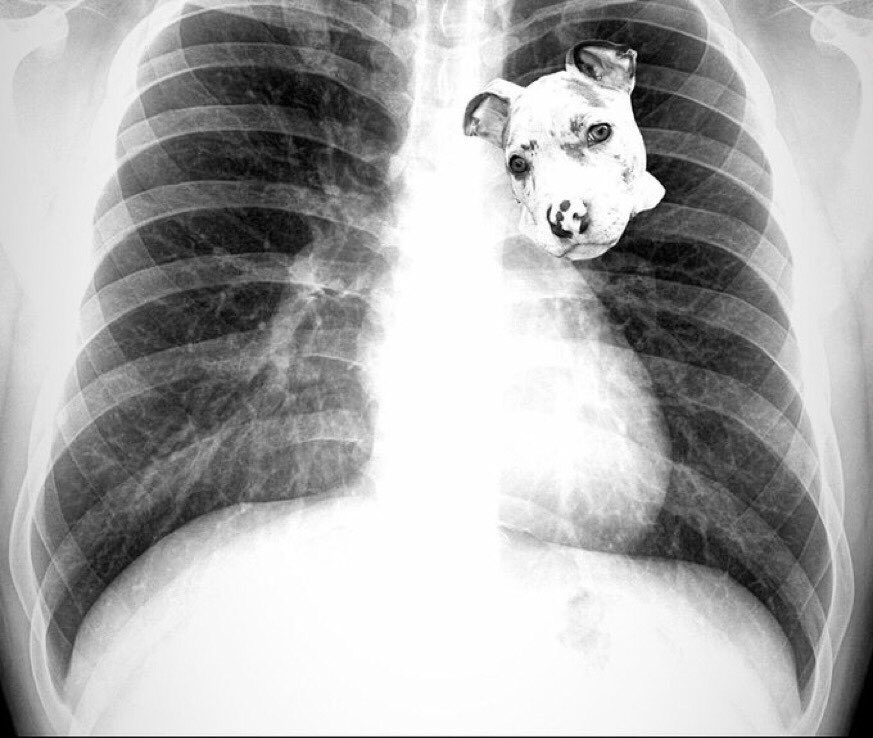 y'all pray for @StetsonIv... ain't nothing wrong HE JUST GOT THAT DAWG IN HIM.

#CFBPlayoff | #NationalChampionship | #GoDawgs

<a href="/GeorgiaFootball/">Georgia Football</a>