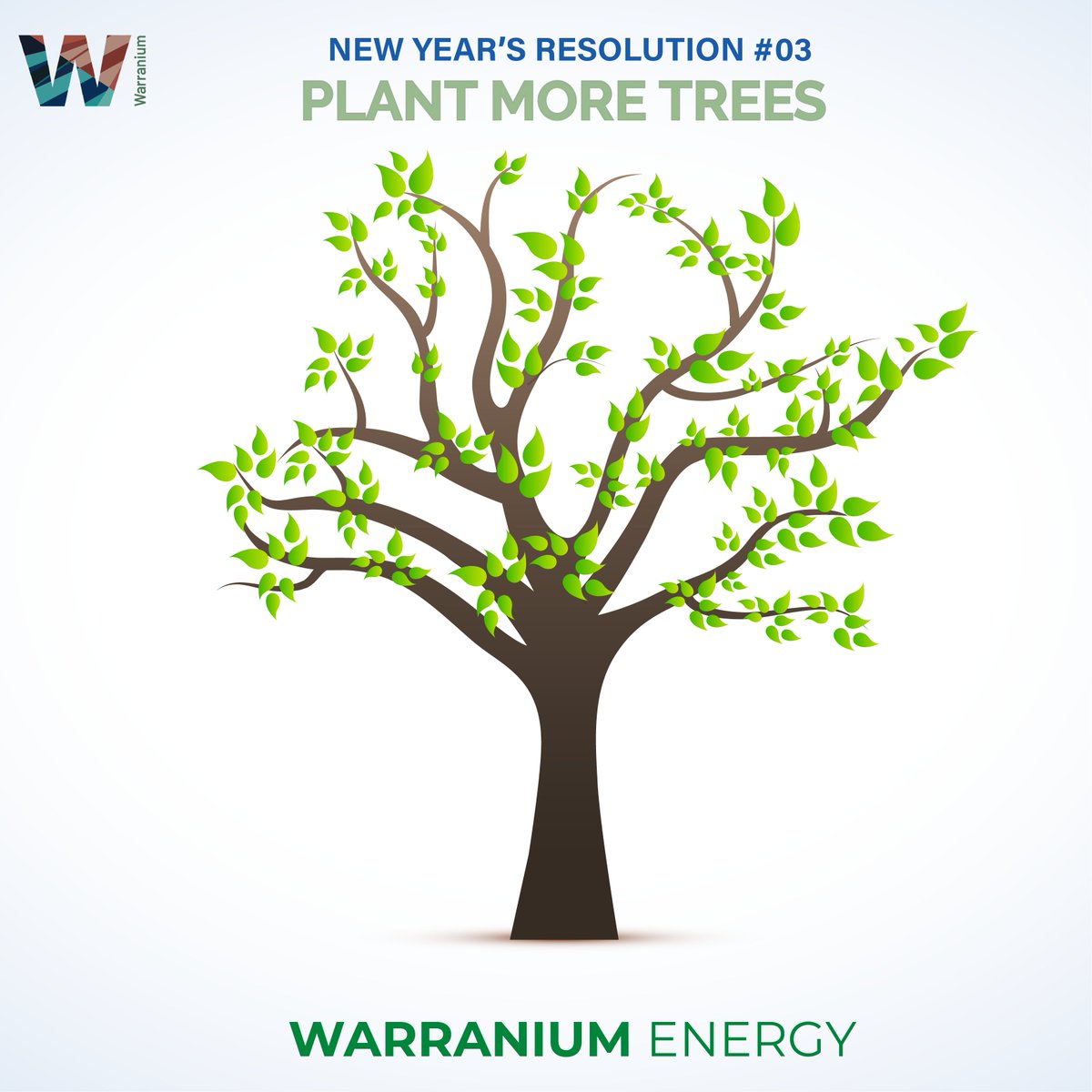 WarraniumEnergy's tweet photo. #PlantMoreTrees
#Trees are a part of our #global environment from were most essential things required for human life comes from.#Deforestation has resulted in an array of problems we face include scanty rainfall, global warming, #wildlife habitat #destruction, less oxygen &amp; many. https://t.co/zZJ6ShaNFi