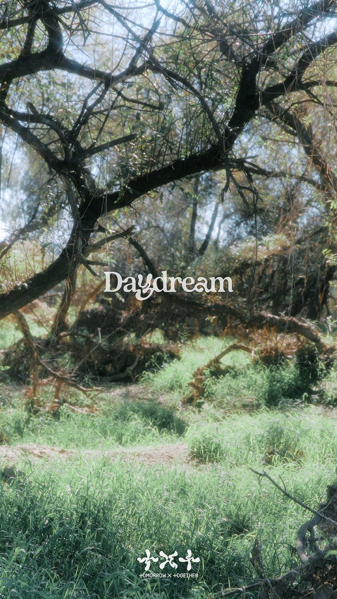 TAEHYUUIN's tweet photo. We were distracted, carried away by the devil's whisper. One thing we know, you can't skip chapters. You have to read every lines, drown in your dream.
Welcome, to the forest of 'Daydream'. https://t.co/ajaV9SA9v0