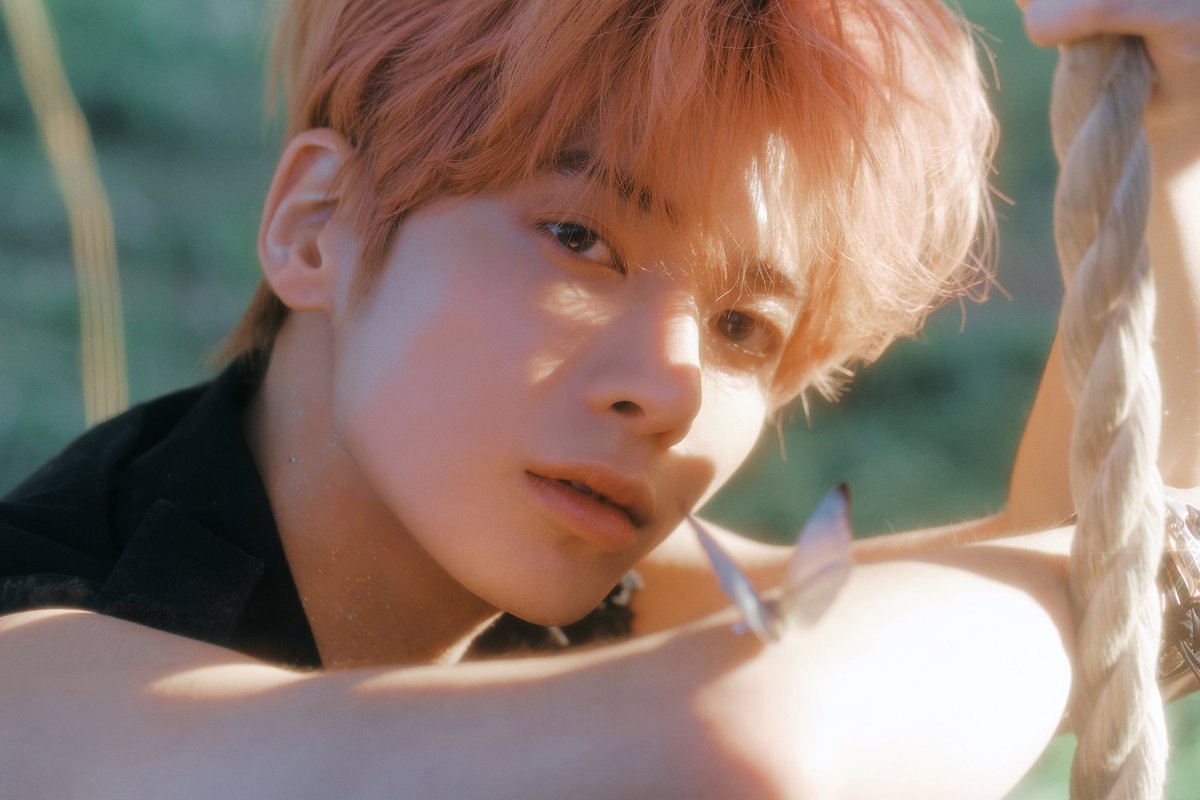 TAEHYUUIN's tweet photo. I yearn to awaken to the sun's warm rays, surrounded by lush forests trees. Become one with nature, my native home. The warm summer breeze that embraces me, the sound of birds cooing, and beautiful butterflies as my folks. https://t.co/AzM9UYt7G0