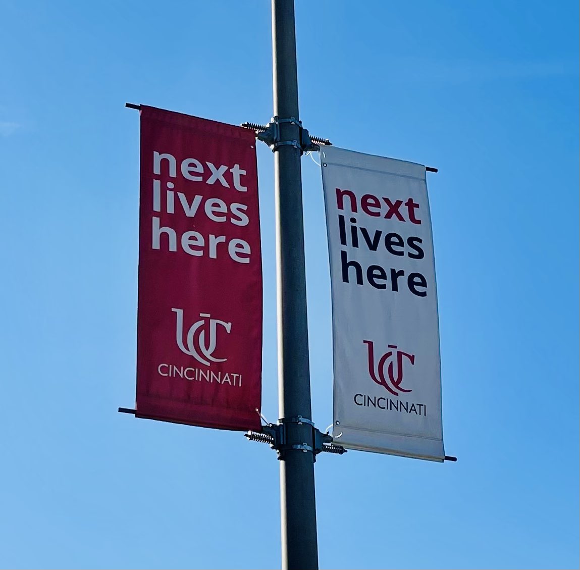 Bridgette tweet media