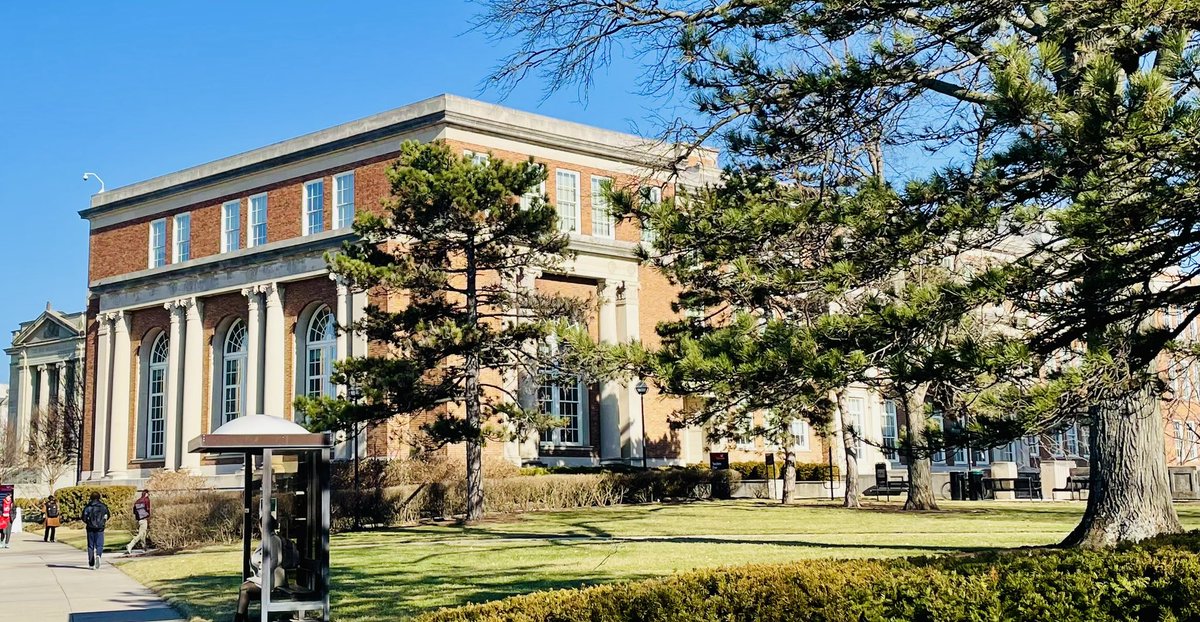 Bridgette tweet media