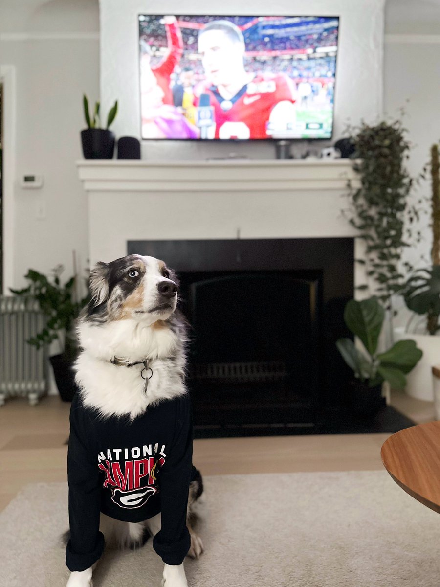sojinrank's tweet photo. #GoDawgs | #NationalChampionship https://t.co/hxmmCT9QKd