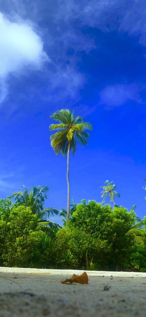 є∂мσи∂ ιвяαнιм уσσѕυƒ (@edmond_0424) on Twitter photo 